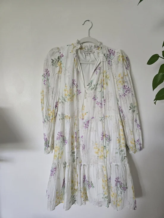 TAYLOR size Small Ivory Floral Spring Long Sleeves Unlined Dress - Picture 5 of 9